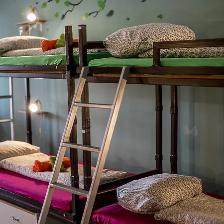 Hostel Island (adults Only)