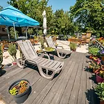 Island (adults Only)
