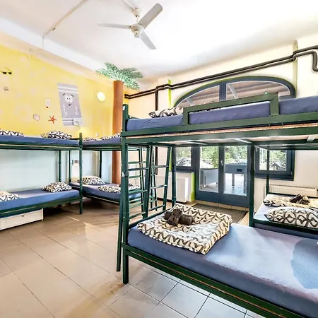 Island (adults Only)