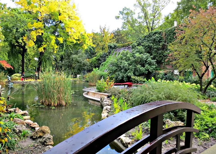 Island (adults Only) Hostel